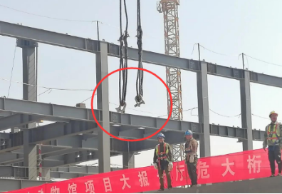 卸扣助力中國(guó)古動(dòng)物館建設(shè)